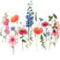 pic_photo_SN